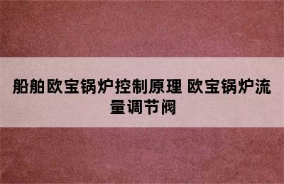 船舶欧宝锅炉控制原理 欧宝锅炉流量调节阀